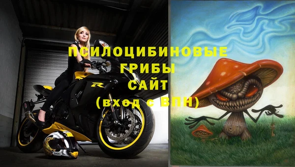 Альфа ПВП Володарск