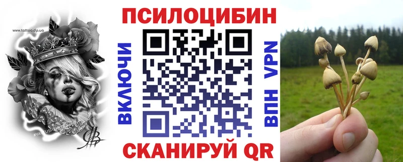 Псилоцибиновые грибы MAGIC MUSHROOMS  гидра сайт  Каргополь 